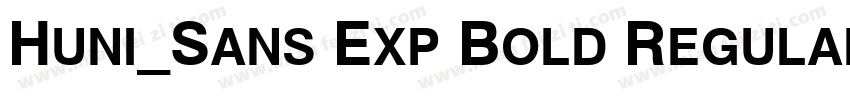 Huni_Sans Exp Bold Regular字体转换